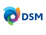 DSM logo